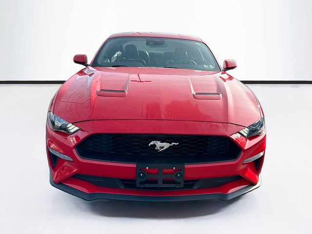 Certified 2022 Ford Mustang Premium image 7