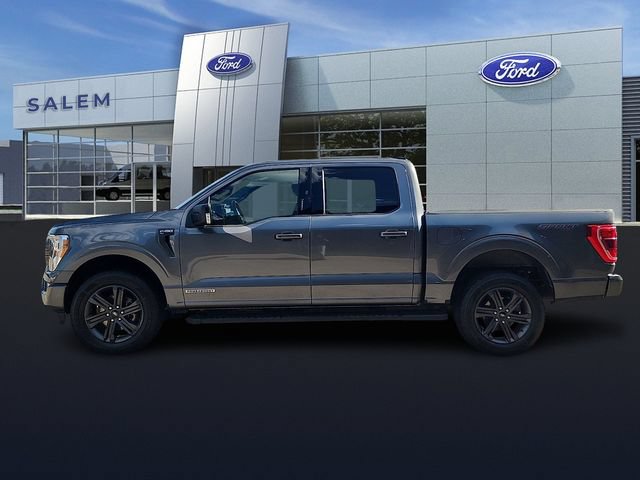 Certified 2023 Ford F150 XLT w/ Equipment Group 302A High AWD/4WD image 5