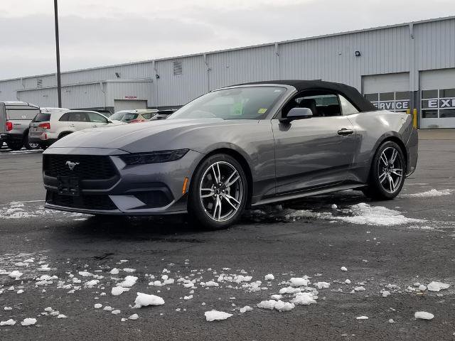 Certified 2025 Ford Mustang Premium w/ Wheel & Stripe Package image 6