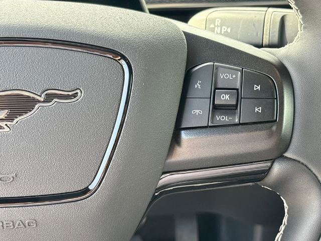 Certified 2025 Ford Mustang Mach-E GT image 19