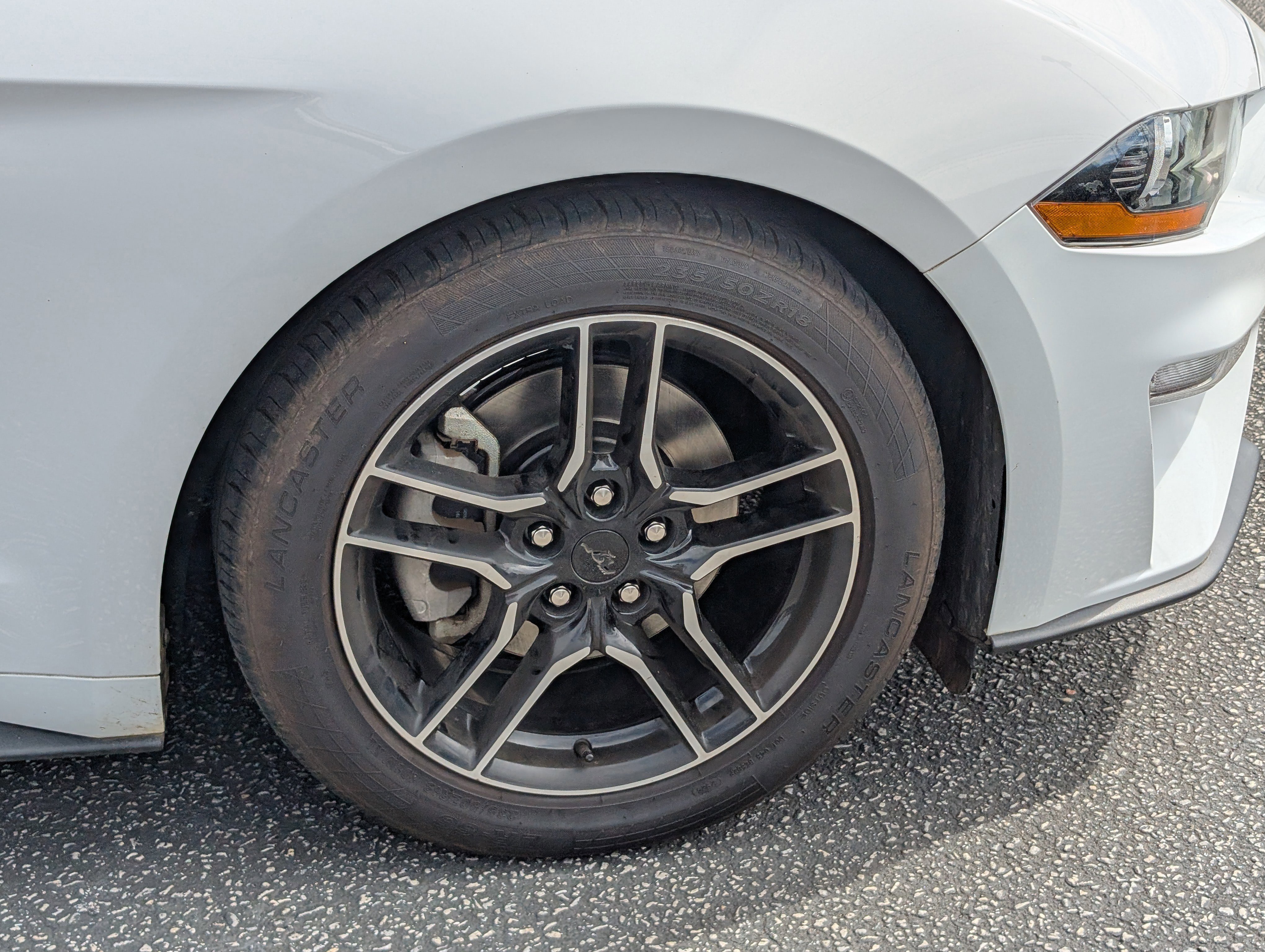 Certified 2021 Ford Mustang Premium image 12