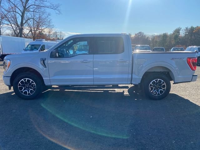 Certified 2023 Ford F150 XLT w/ Equipment Group 302A High image 2