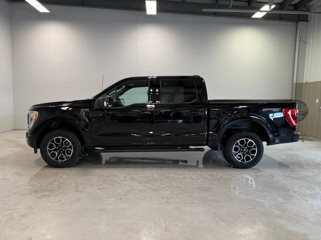 Certified 2023 Ford F150 XLT w/ Equipment Group 302A High AWD/4WD image 4