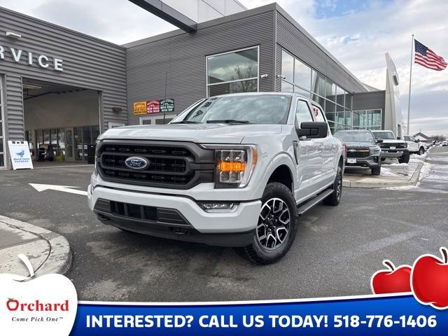 Certified 2023 Ford F150 XLT w/ Equipment Group 302A High image 1