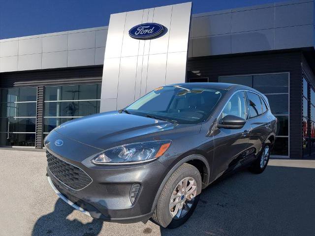 Certified 2020 Ford Escape SE image 4
