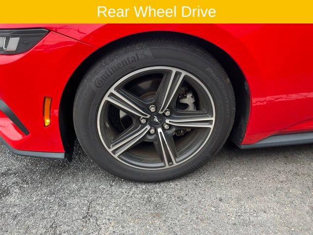 Certified 2025 Ford Mustang Premium RWD image 3