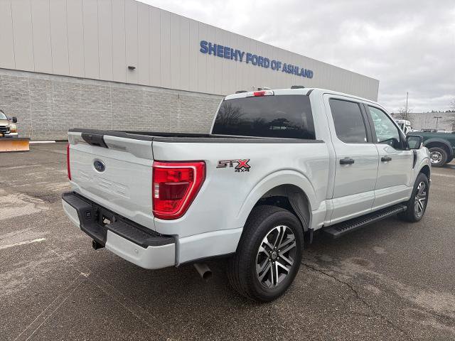 Certified 2023 Ford F150 XL w/ STX Appearance Package image 3