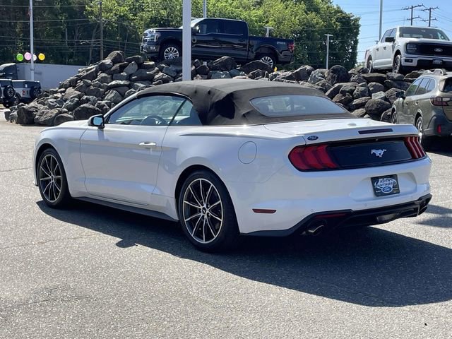 Certified 2019 Ford Mustang Premium w/ Equipment Group 201A RWD image 4