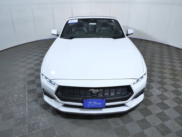 Certified 2025 Ford Mustang Premium RWD image 3
