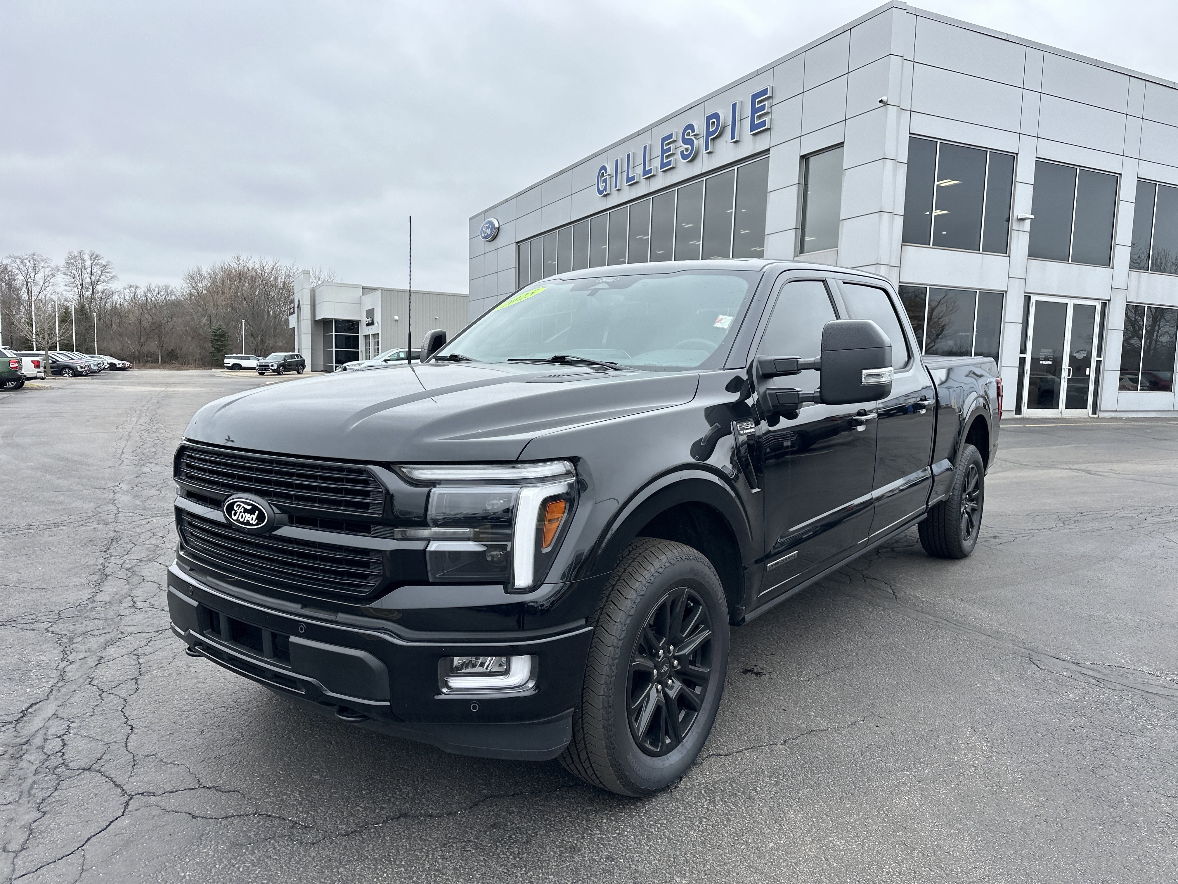 Certified 2025 Ford F150 Platinum image 7