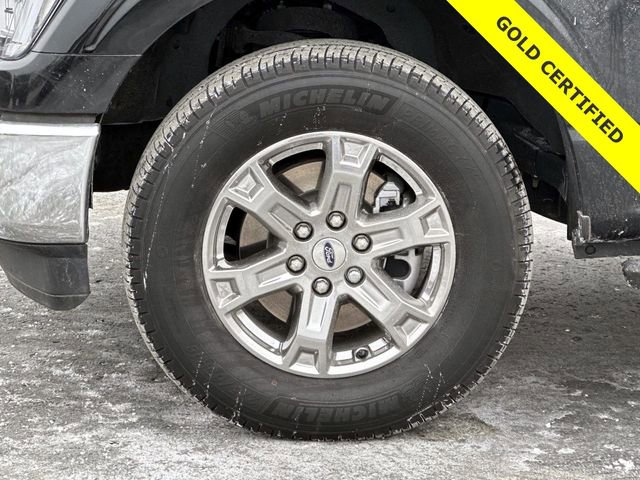 Certified 2023 Ford F150 XLT w/ Equipment Group 302A High image 6