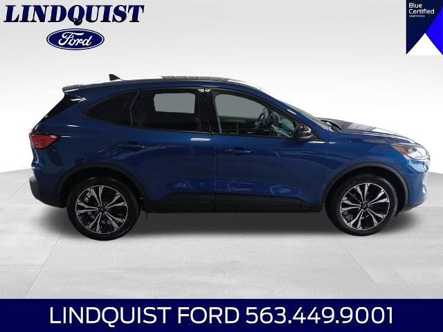 Certified 2022 Ford Escape SE w/ SE Sport Appearance Package AWD/4WD image 7