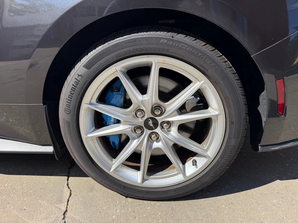 Certified 2024 Ford Mustang GT Premium RWD image 12