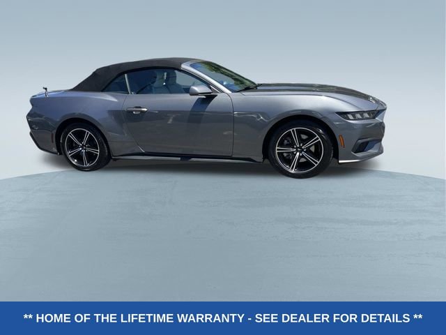 Certified 2024 Ford Mustang Premium RWD image 2