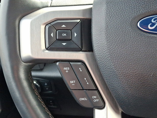 Certified 2019 Ford F150 Platinum w/ Equipment Group 701A Luxury image 20