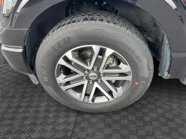 Certified 2023 Ford F150 XL w/ STX Appearance Package RWD image 14
