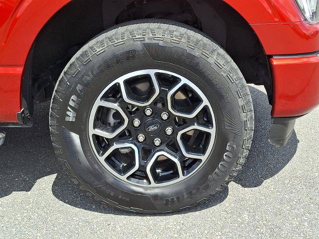 Certified 2023 Ford F150 XLT w/ Equipment Group 302A High AWD/4WD image 8