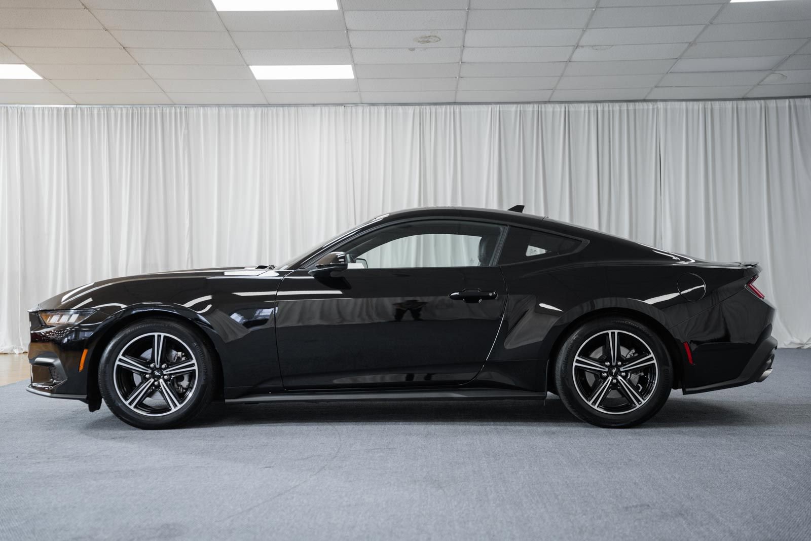 Certified 2024 Ford Mustang Premium image 5