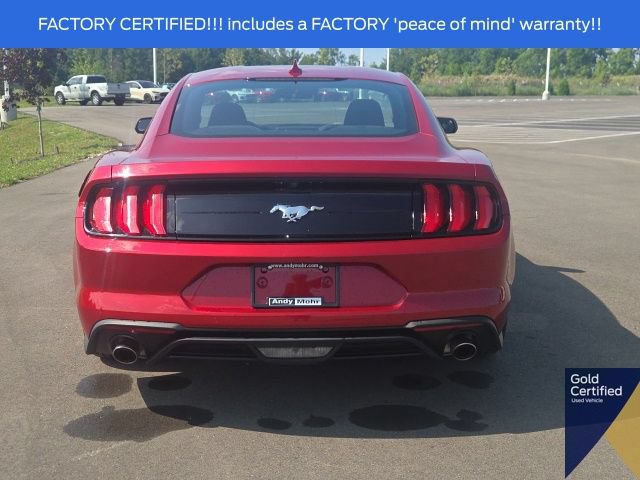 Certified 2023 Ford Mustang Coupe w/ Equipment Group 101A RWD image 11