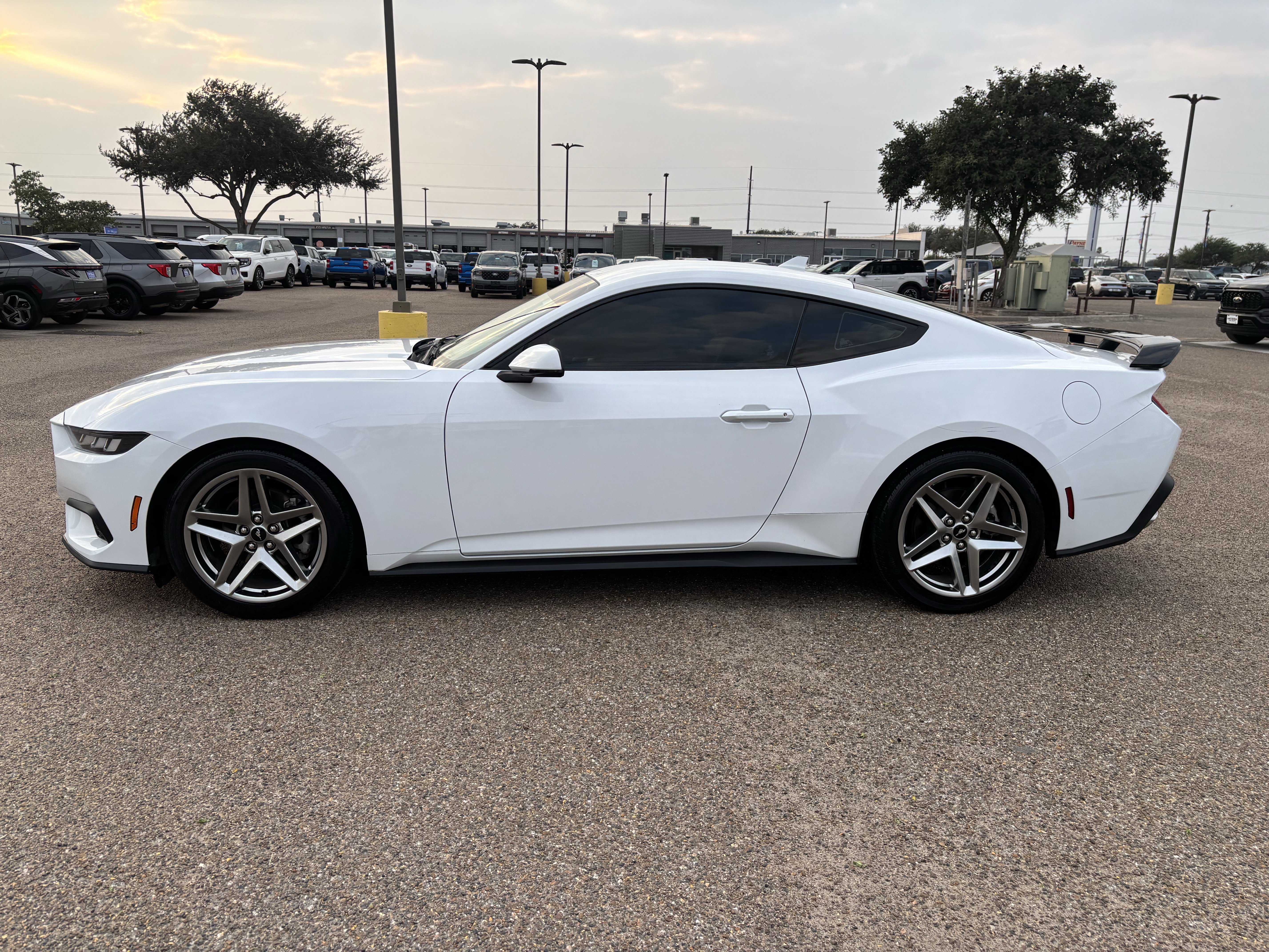 Certified 2024 Ford Mustang Premium image 3