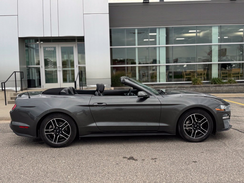 Certified 2020 Ford Mustang Premium w/ Equipment Group 201A RWD image 49