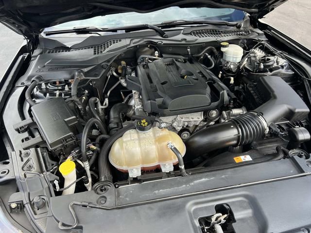 Certified 2017 Ford Mustang Coupe image 11