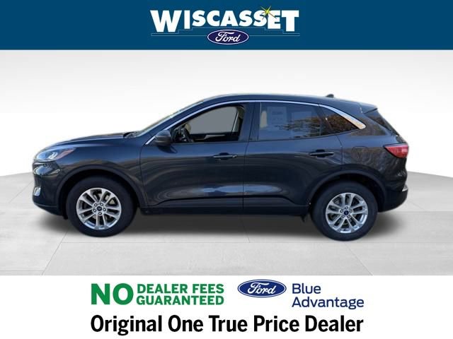 Certified 2022 Ford Escape SE w/ Convenience Package image 2