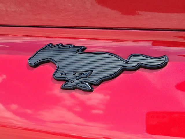 Certified 2023 Ford Mustang Mach-E Premium w/ Mustang Nite Pony Package RWD image 6