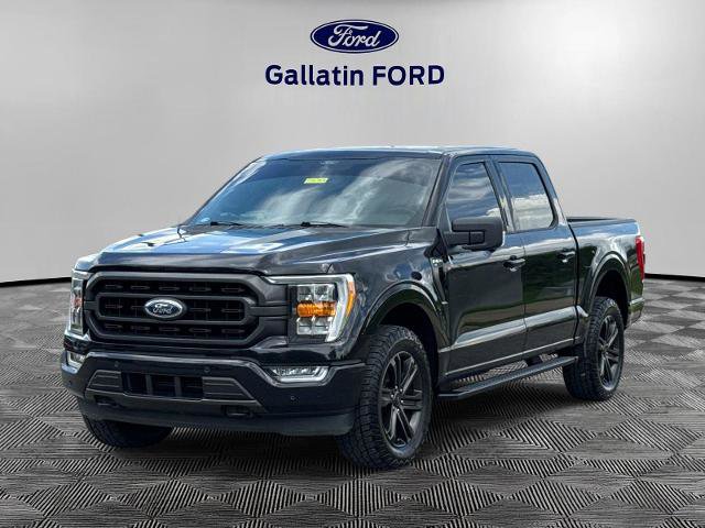 Certified 2021 Ford F150 XLT w/ Equipment Group 302A High AWD/4WD image 1