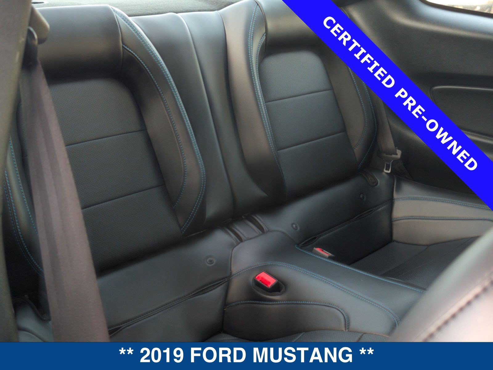 Certified 2019 Ford Mustang GT Premium w/ Equipment Group 401A RWD image 16
