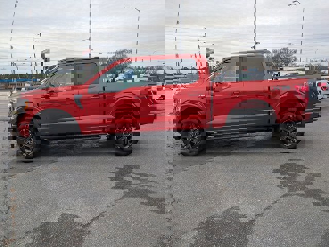 Certified 2023 Ford F150 XLT w/ Equipment Group 302A High image 2