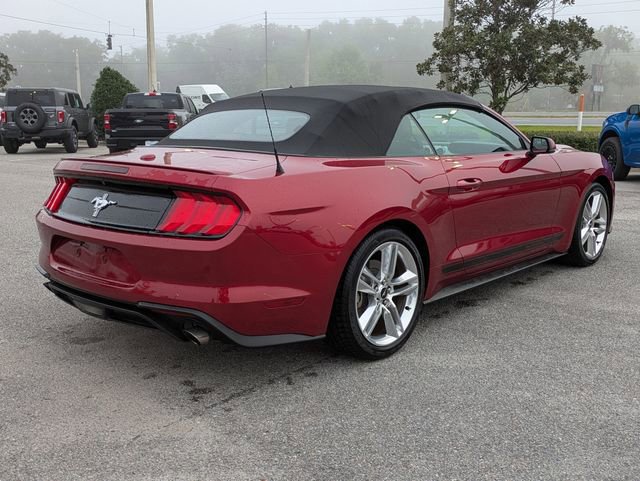 Certified 2019 Ford Mustang Premium w/ Pony Package image 5