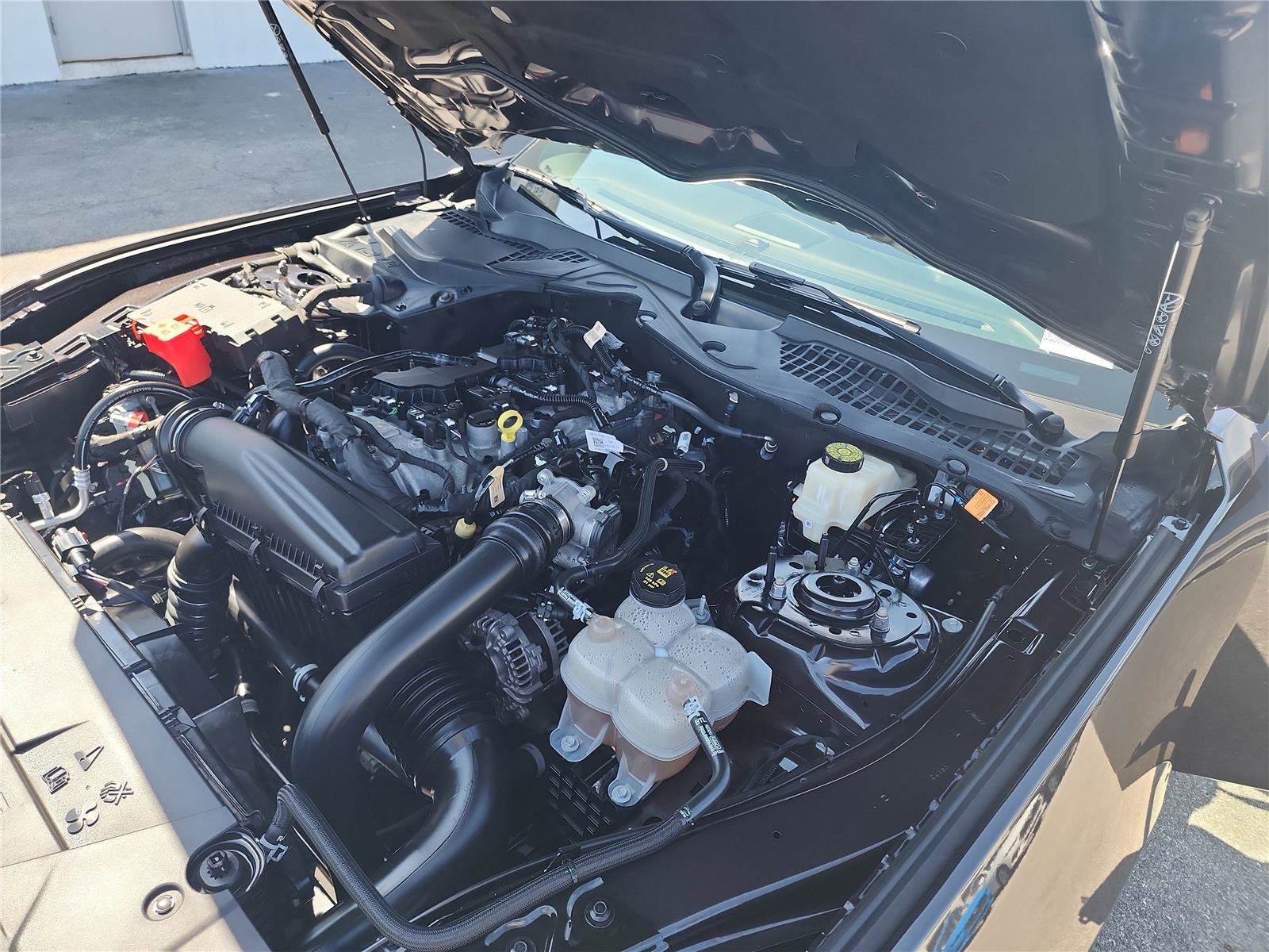 Certified 2024 Ford Mustang Premium image 26