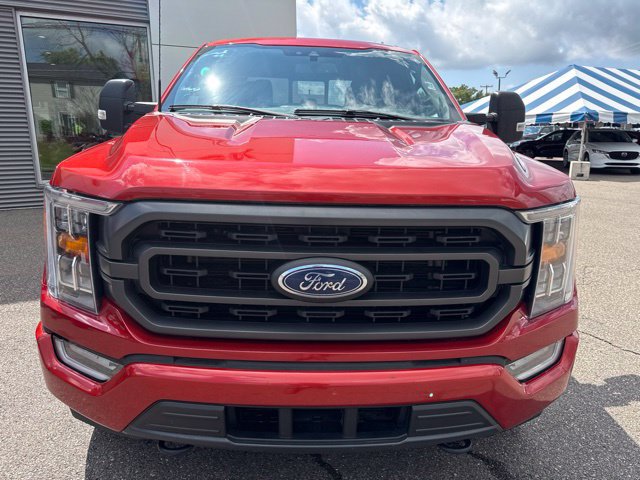 Certified 2023 Ford F150 XLT w/ Equipment Group 302A High AWD/4WD image 3