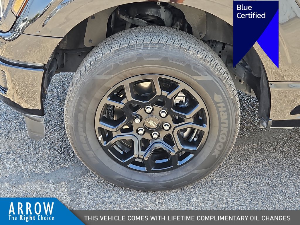 Certified 2025 Ford F150 STX RWD image 17