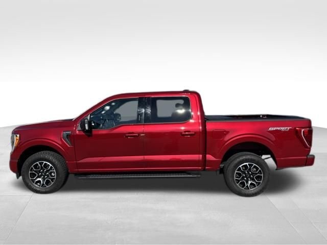 Certified 2021 Ford F150 XLT w/ Equipment Group 302A High AWD/4WD image 10