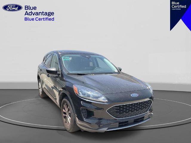 Certified 2022 Ford Escape SE w/ Convenience Package AWD/4WD image 7