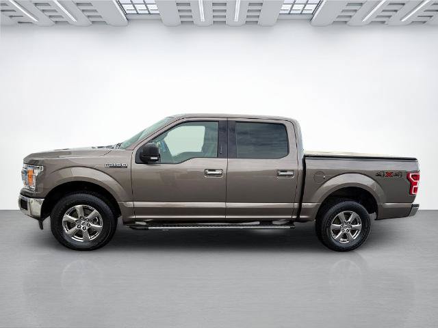 Certified 2019 Ford F150 XLT w/ Equipment Group 302A Luxury AWD/4WD image 6