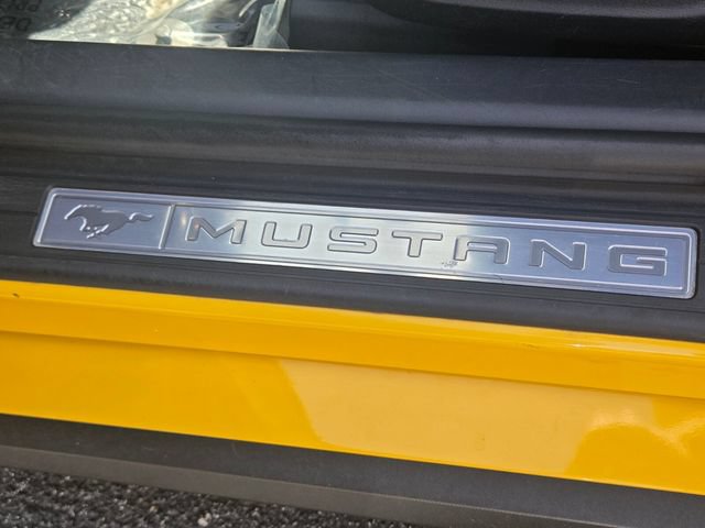 Certified 2024 Ford Mustang Premium RWD image 17