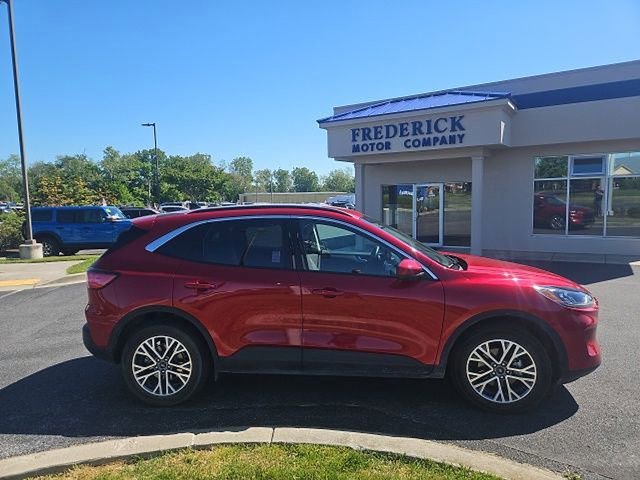 Certified 2021 Ford Escape SEL AWD/4WD image 3