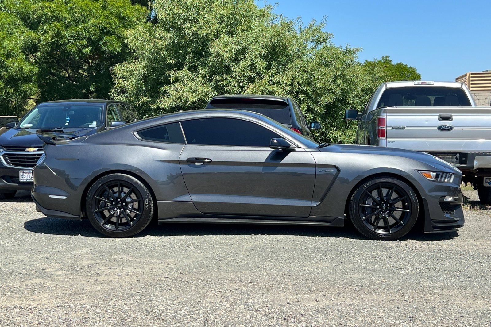 Certified 2017 Ford Mustang Shelby GT350 w/ Electronics Package RWD image 3