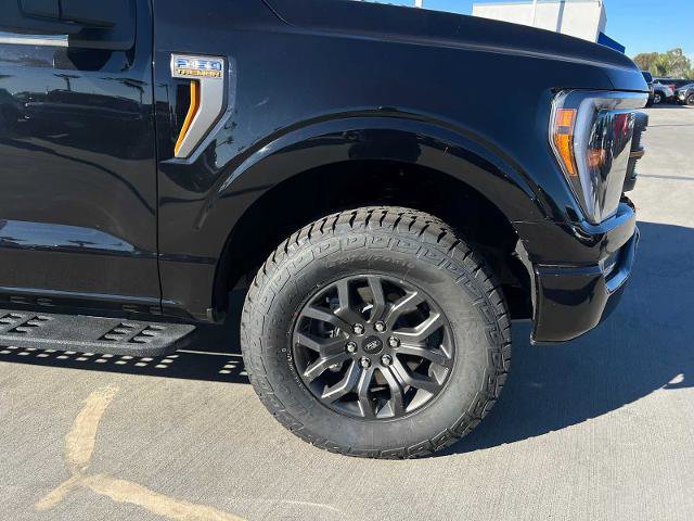 Certified 2023 Ford F150 Tremor image 11