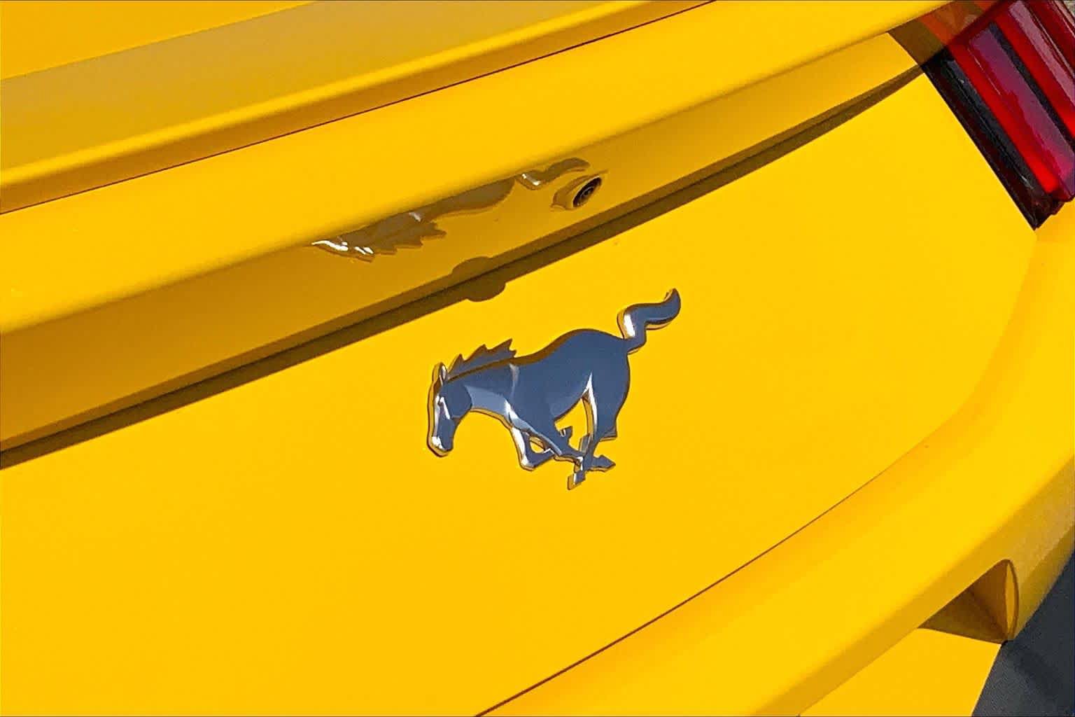 Certified 2024 Ford Mustang Premium RWD image 10