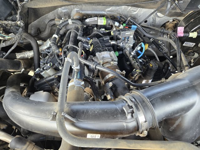 Certified 2020 Ford F150 XL w/ Equipment Group 101A Mid image 32