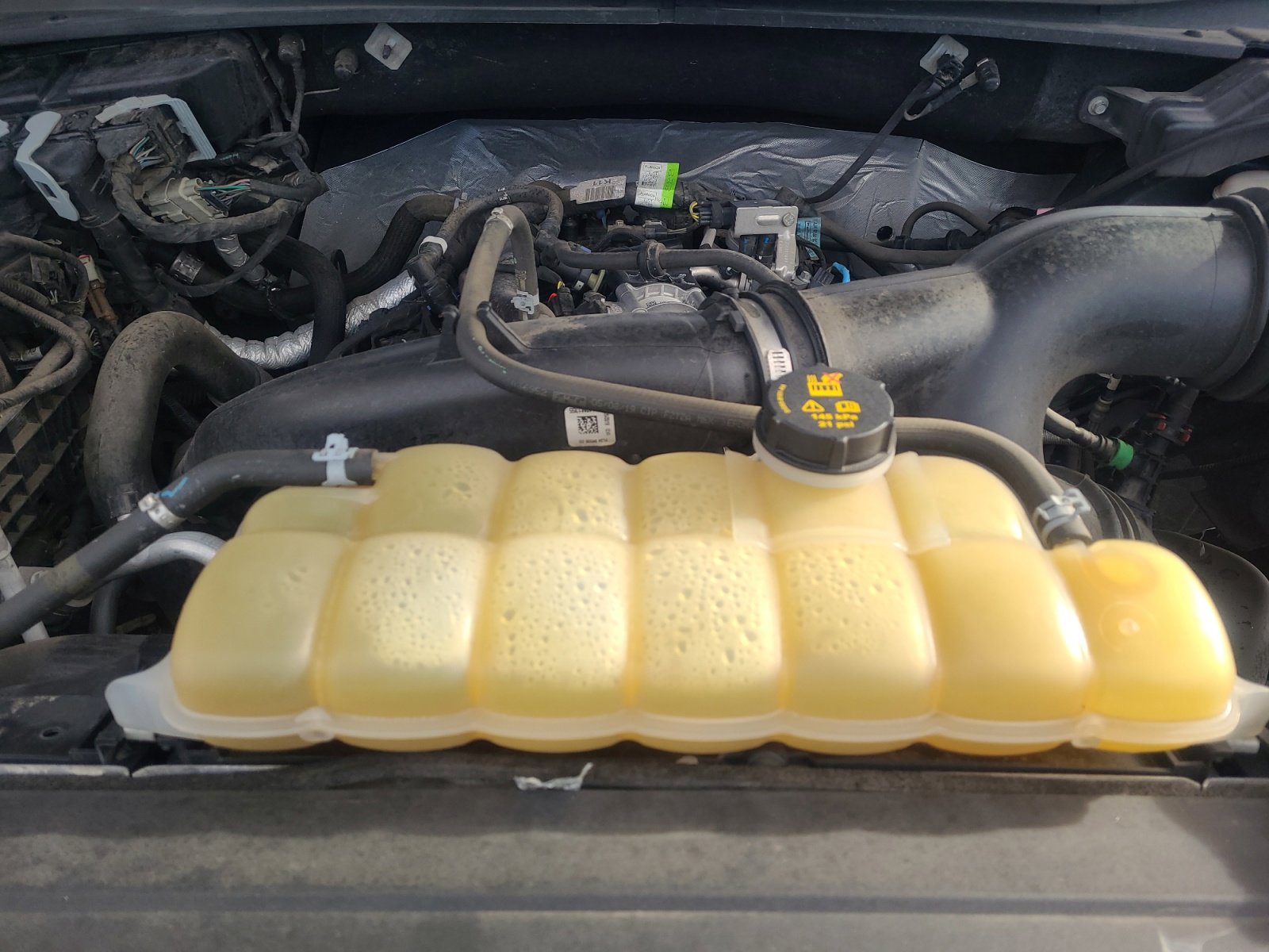 Certified 2019 Ford F150 XLT w/ Equipment Group 302A Luxury image 22