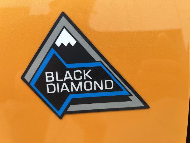 Certified 2022 Ford Bronco Black Diamond AWD/4WD image 28