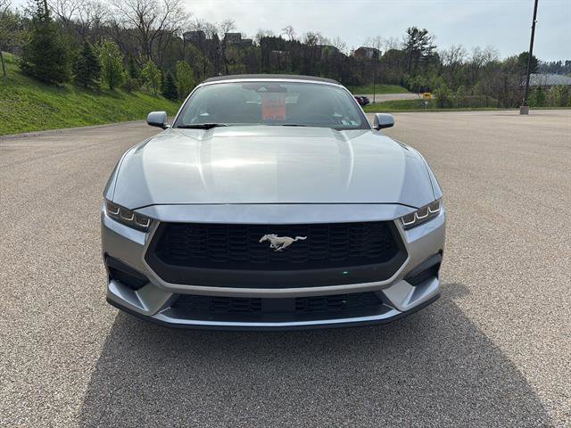 Certified 2024 Ford Mustang Premium image 8