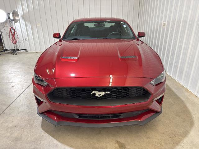 Certified 2018 Ford Mustang ECOBOOST w/ Equipment Group 101A image 6