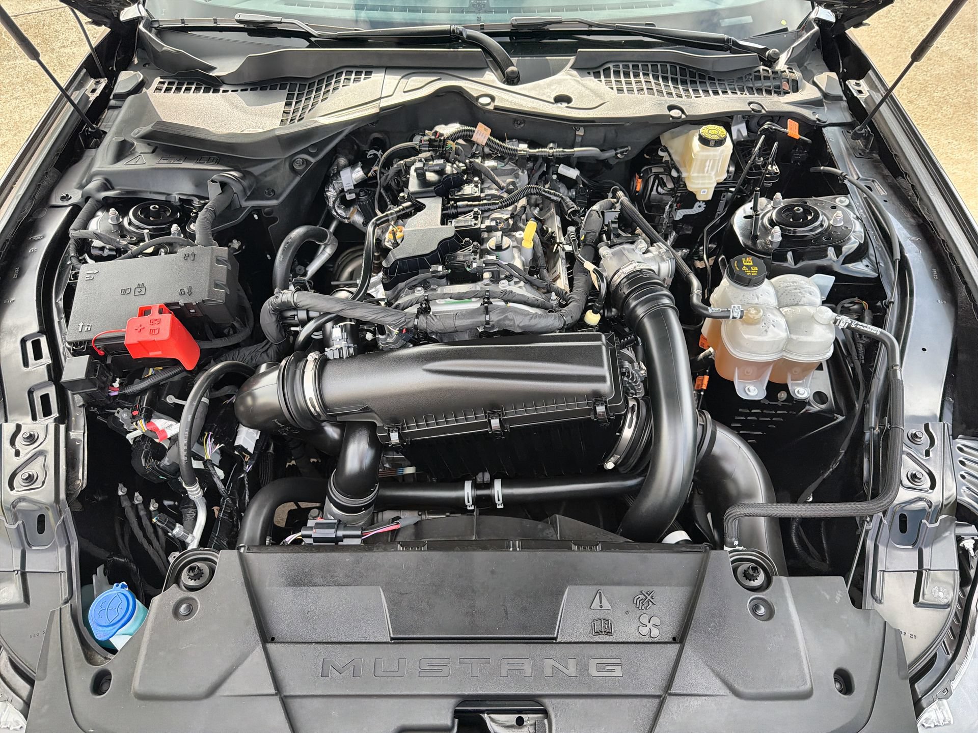 Certified 2025 Ford Mustang Coupe RWD image 24