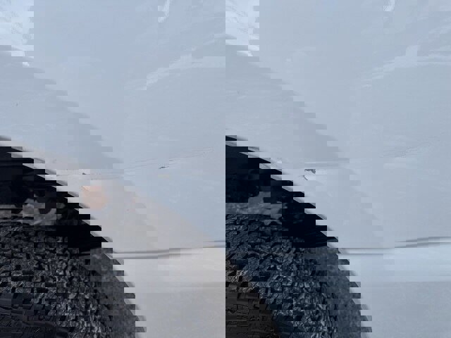 Certified 2023 Ford F250 XL w/ Snow Plow Prep Package image 6